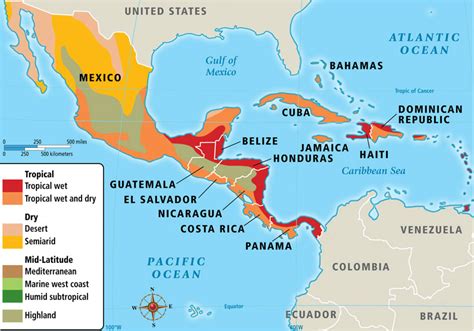 「エル・スカルブの反乱」: 3世紀のメキシコにおけるマヤ文明とテオティワカン帝国の対立